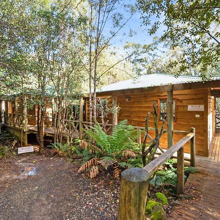 Cradle Forest Inn Moina Екстериор снимка